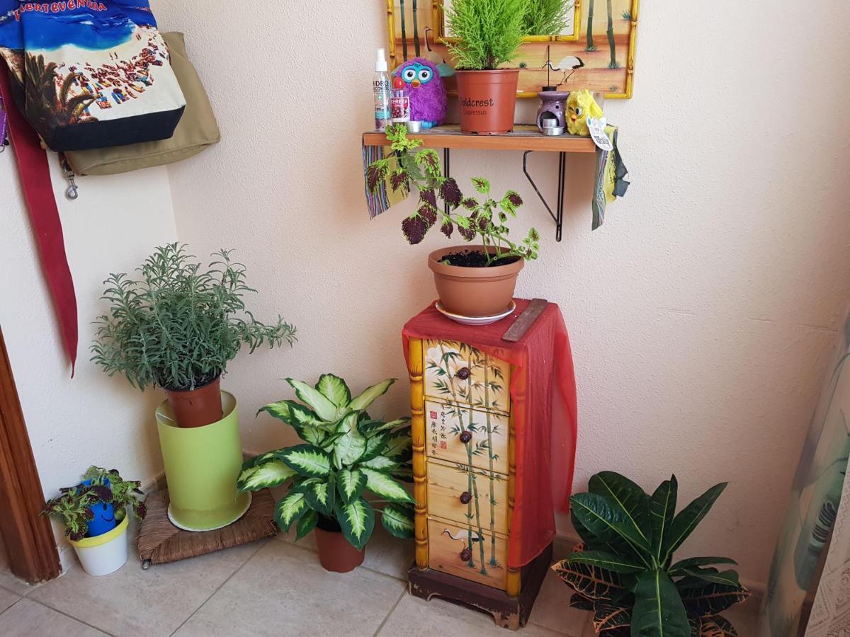 Laurainu Quarto em Acomodações Particulares